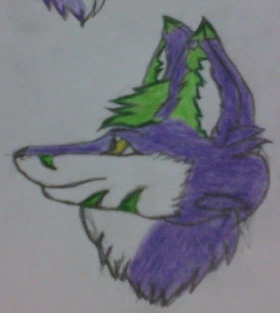 pues que el otro parecia lobo y no