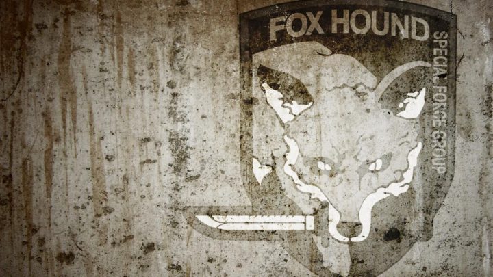 Fox Hound Wallpaper :3