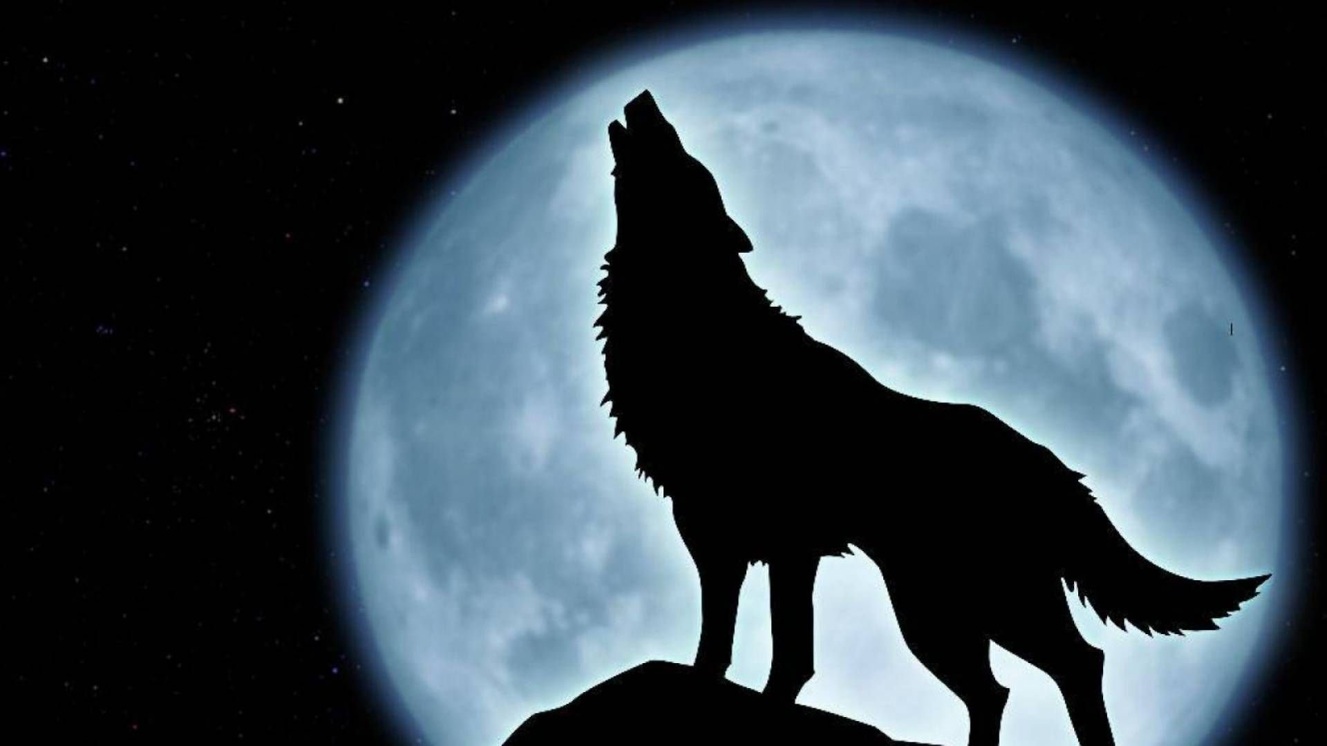 Wolf and the Moon :3