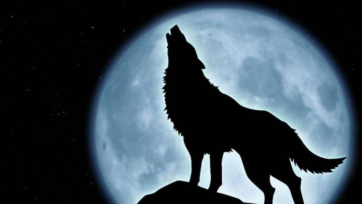 Wolf and the Moon :3