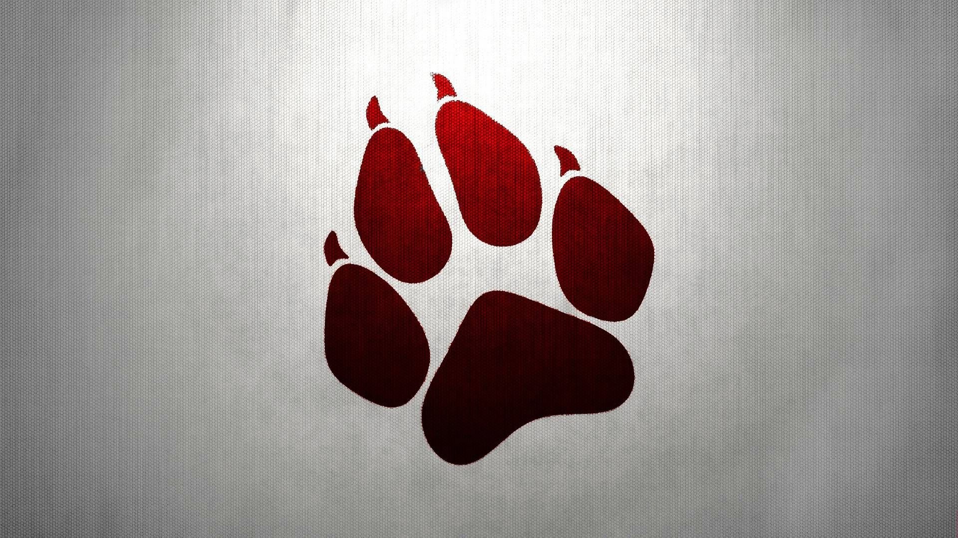 PAW¡¡¡