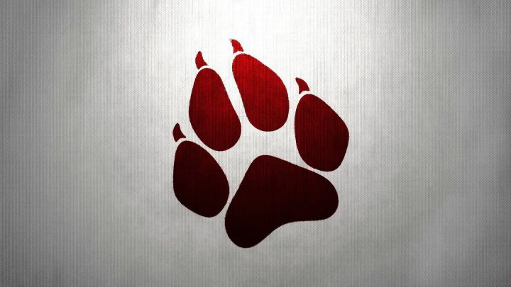 PAW¡¡¡