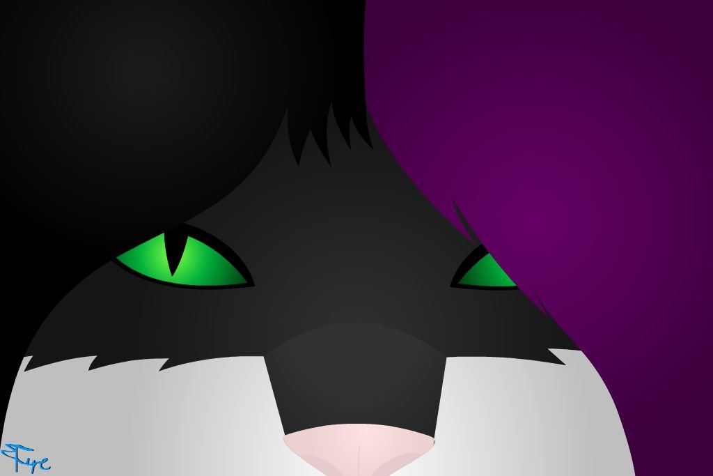K.T Portada