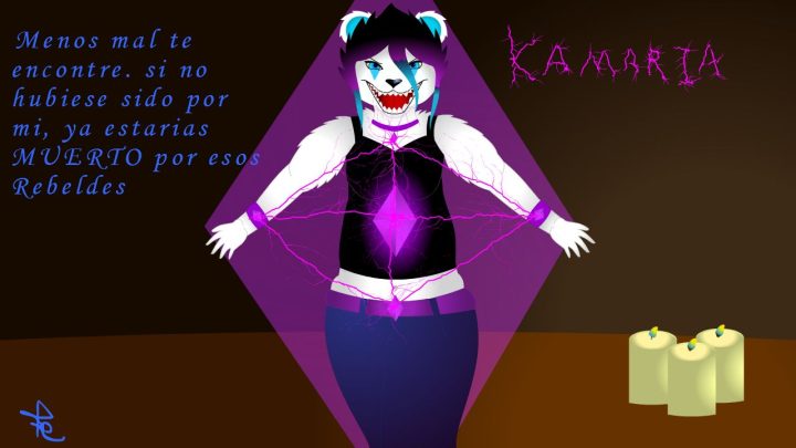 Kamara Sneg