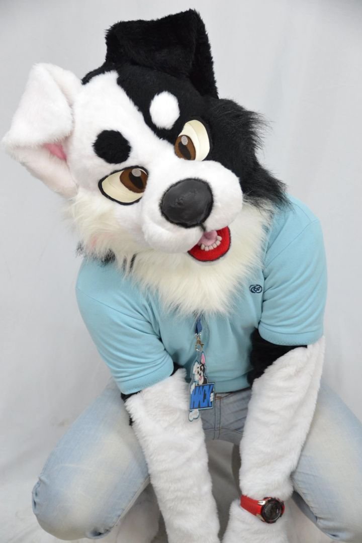 Hack Collie! Mi fursuit ~ Jazzypanda
