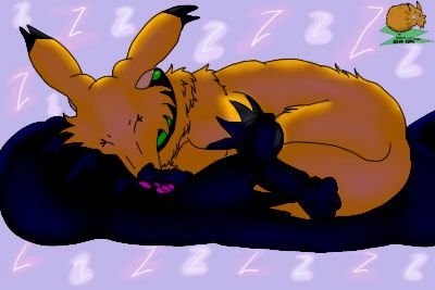 durmiendo...