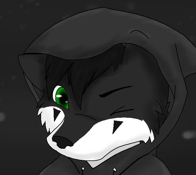 solo yo XP