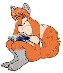 leyendo