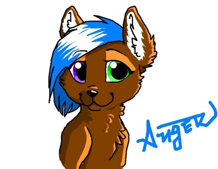 Dibujo en Paint mientras se habla por skype