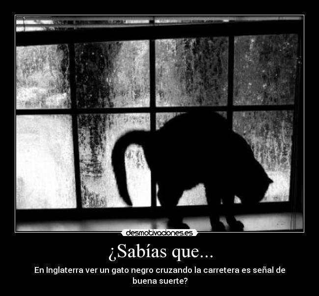 me siento con suerte :3