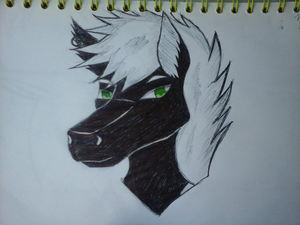 una fursona que pedi permiso para dibujar porque