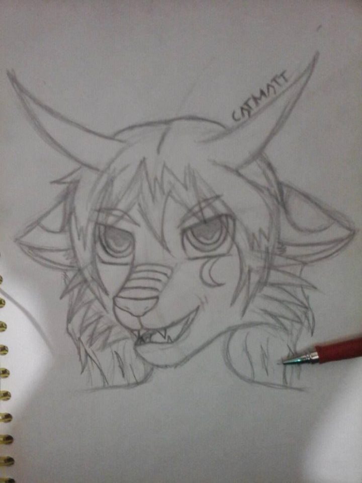 otra fursona que pedi para practicar n n