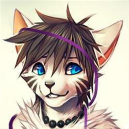 Le yo, Soy un gatito