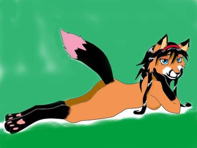Ashi pony Spirit (en fb)