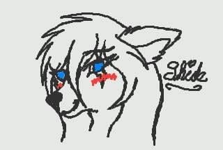 Xheten (mi novia) Shide Snowmoon