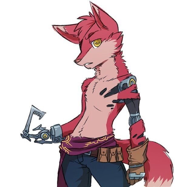 Foxy :3
