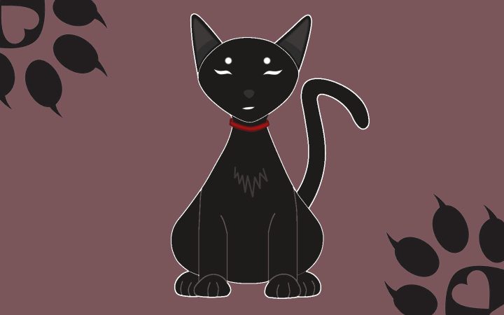El gato negro, primer dibujo que hago D:!!!!!