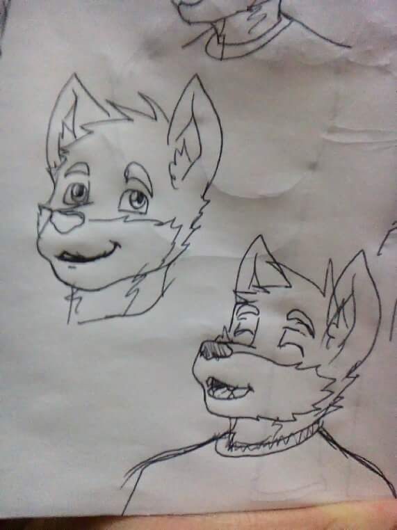 Esta es la fursona de mi amigo Carlos