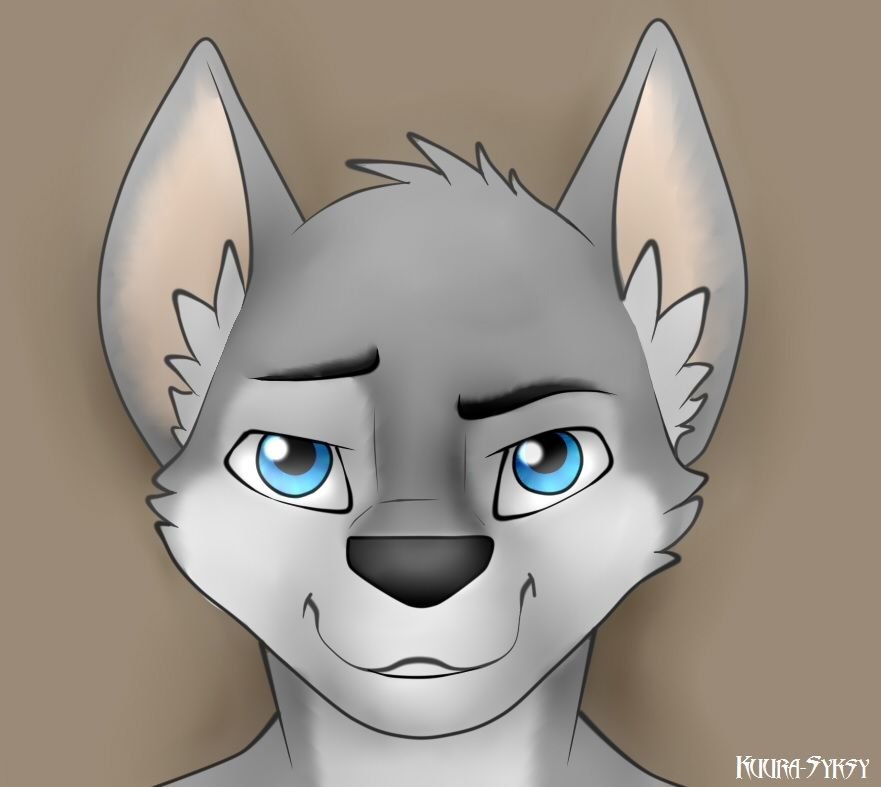 Gray Wolf