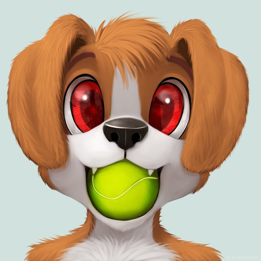 woof woof