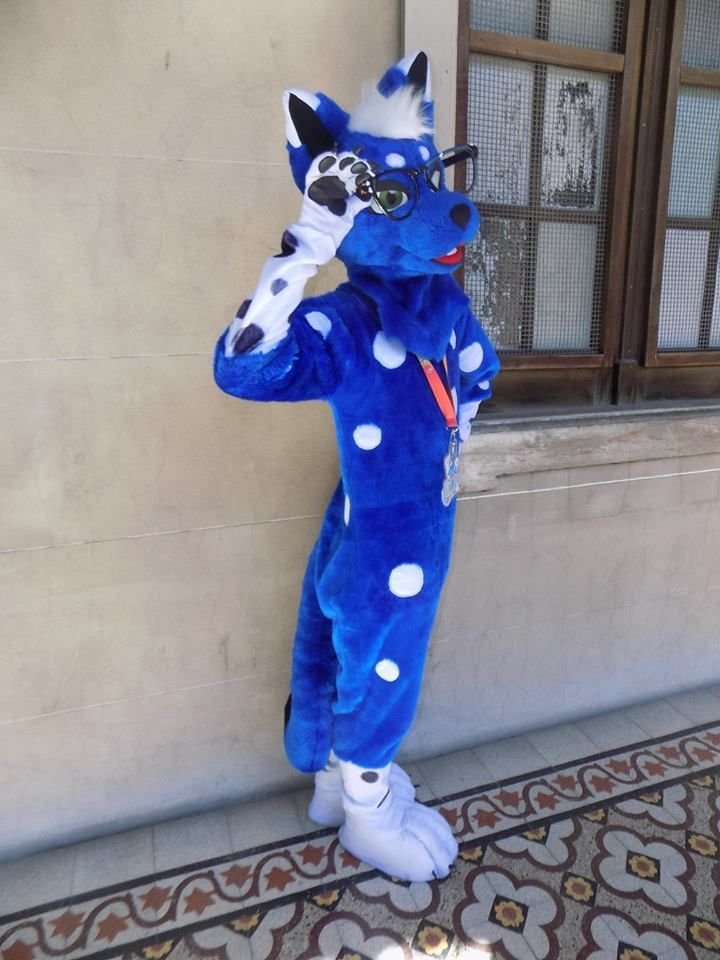 Un fur con clase ewe(?