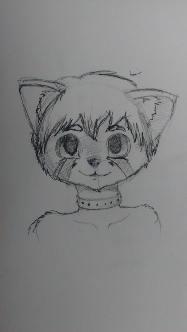 Primer Sketch bueno