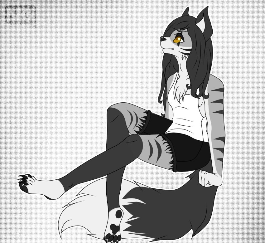 DP~