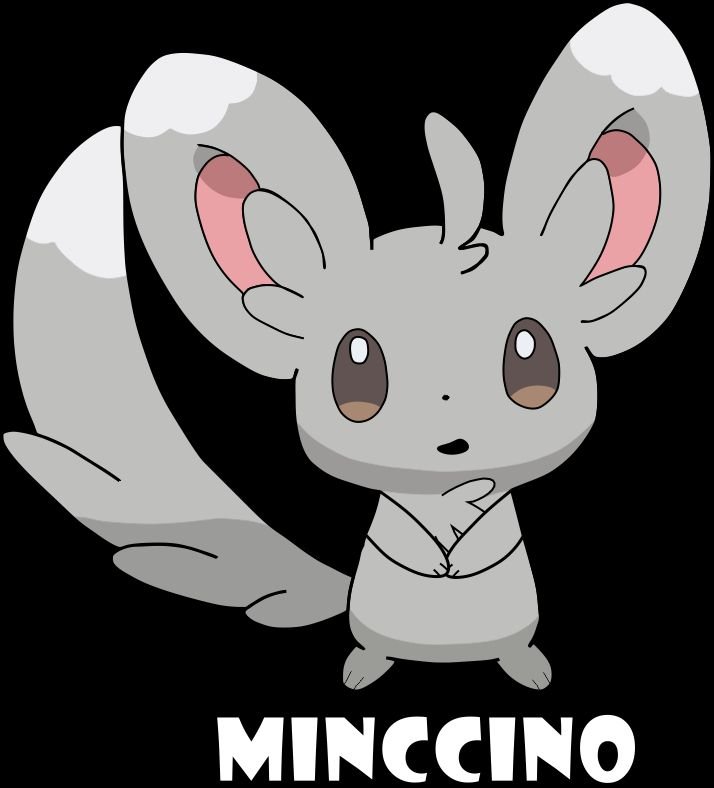 minccino