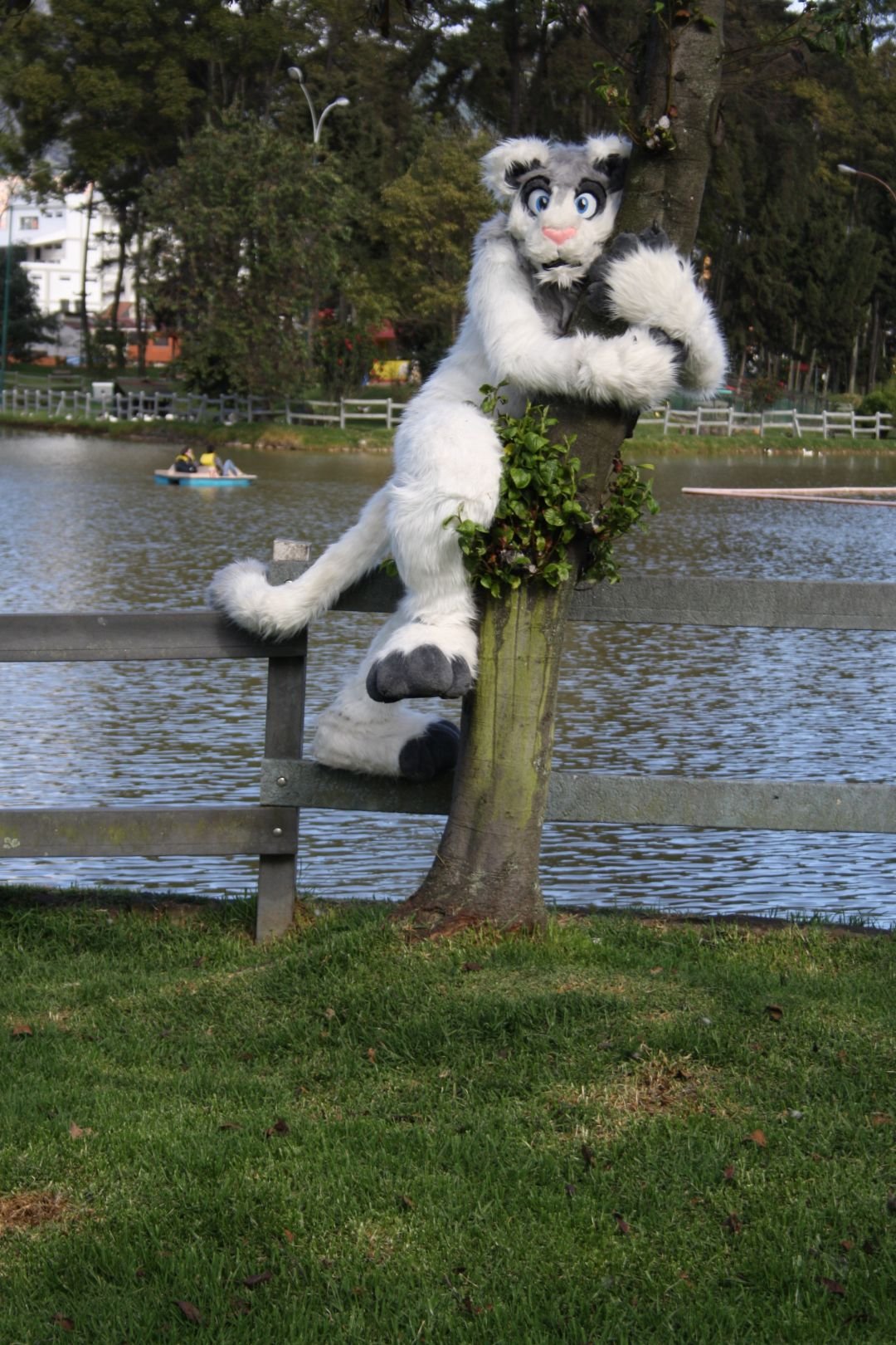 Fursuit