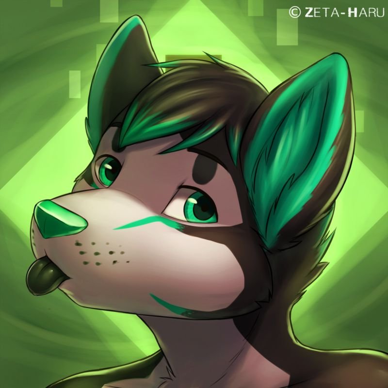 Zorrito :3