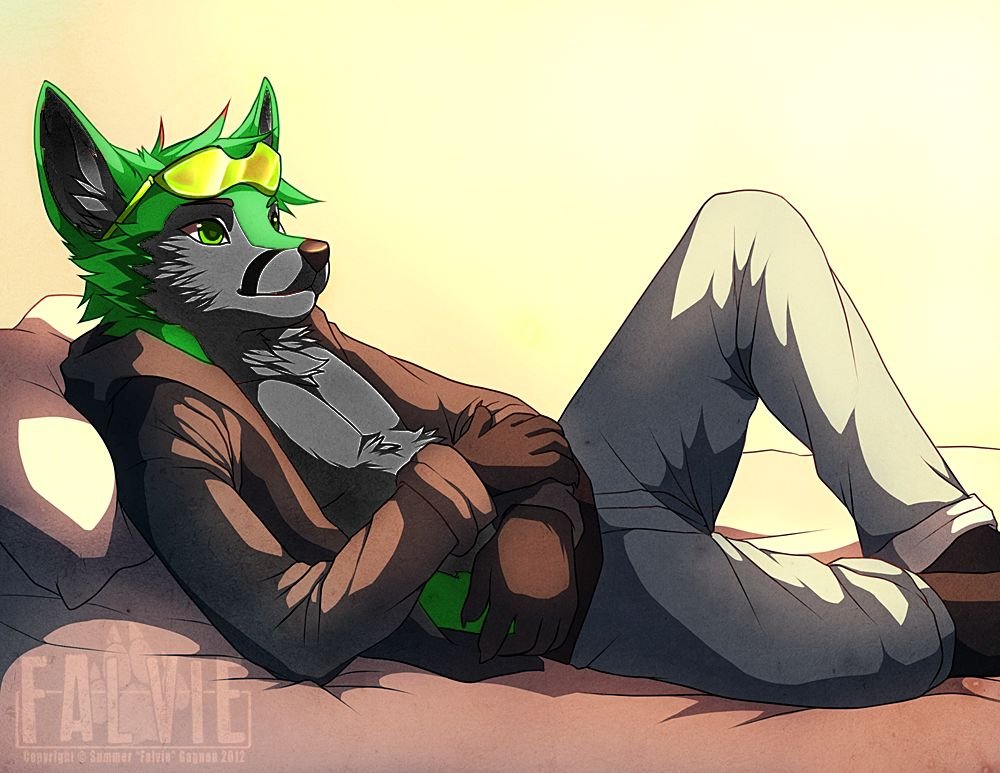 Zorrito :3