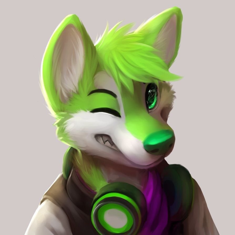 Zorrito :3