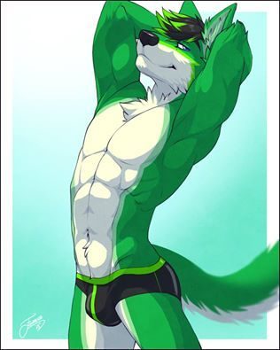 Zorrito sexy :3