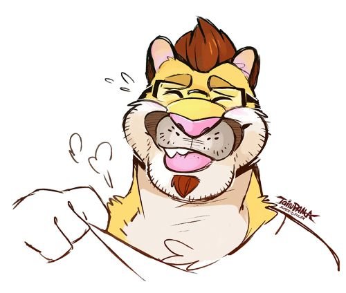 Im puma x3