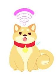 es un perro llamado shibe