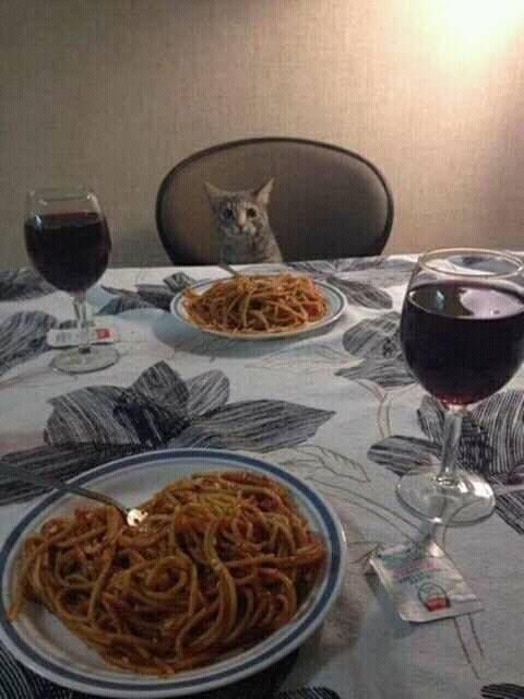 La falta de compania me obligo a esto