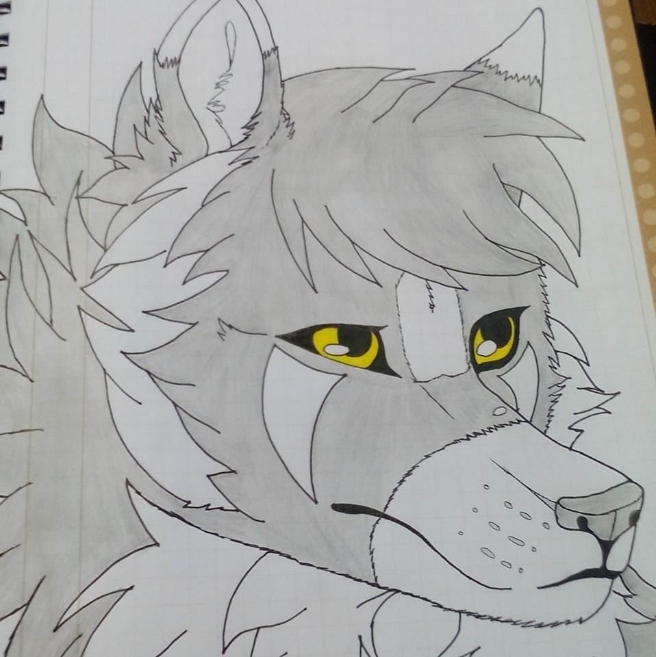 dibujo a la rapida de harsy