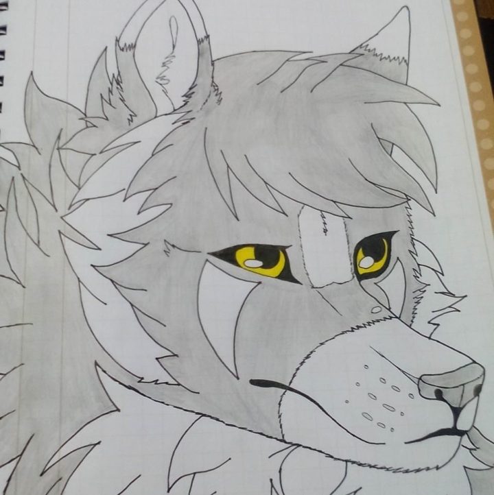 dibujo a la rapida de harsy