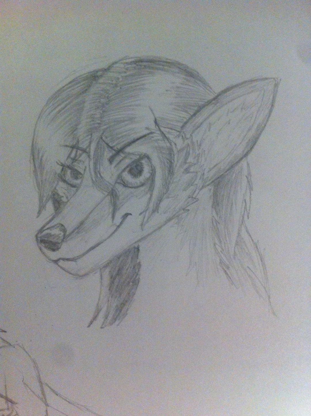 cara random de una chica lobo sin nombrar