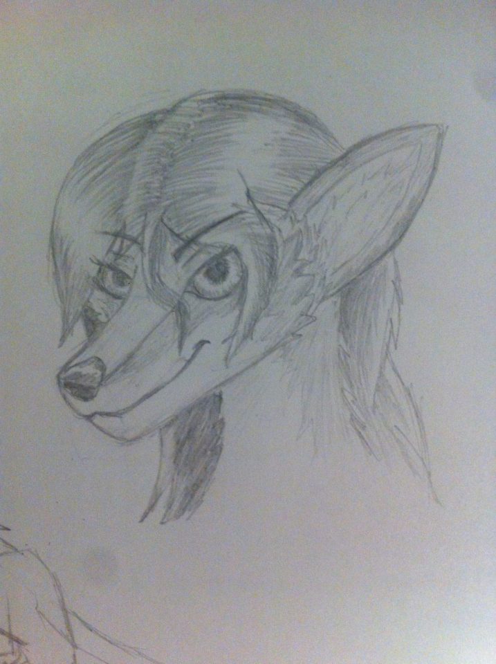cara random de una chica lobo sin nombrar