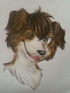 Mi Fursona, un perro de raza Border Collie