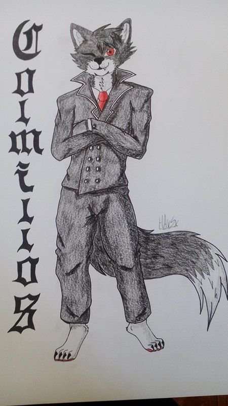 comision para colmillos