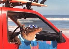 asi estoy yo..... cuando llega el verano x3