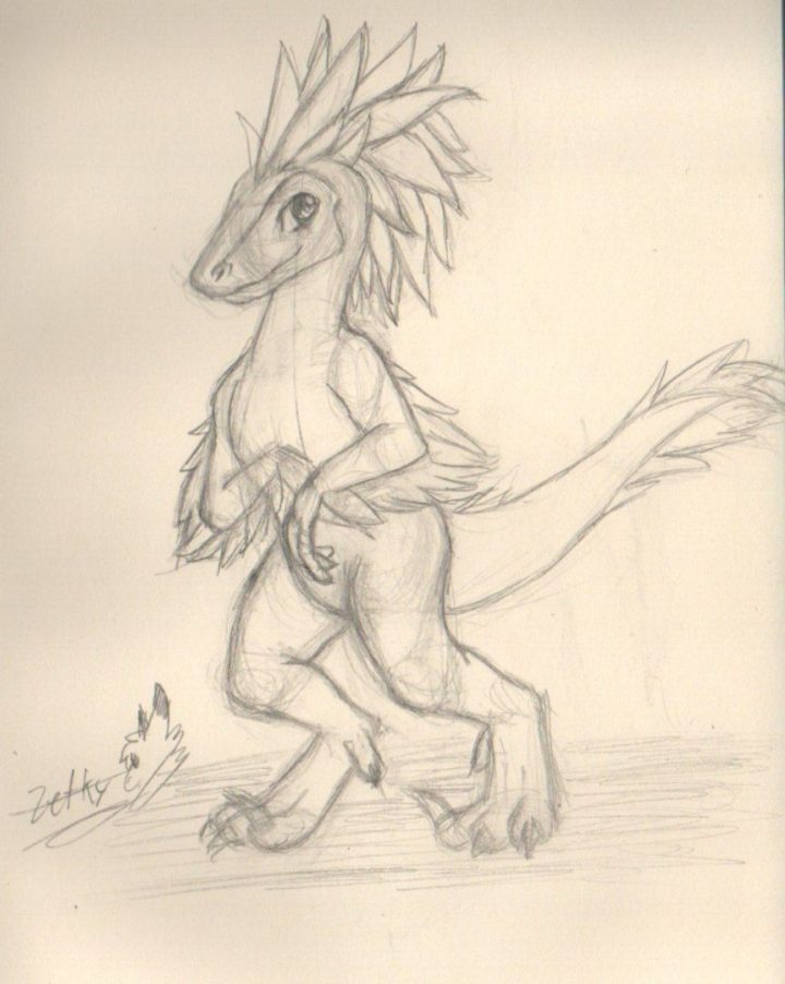 Regalo para mi amigo raptor