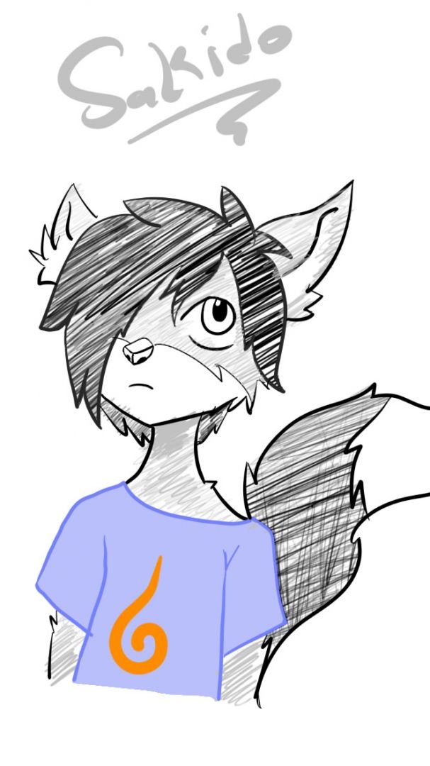 fast sketch