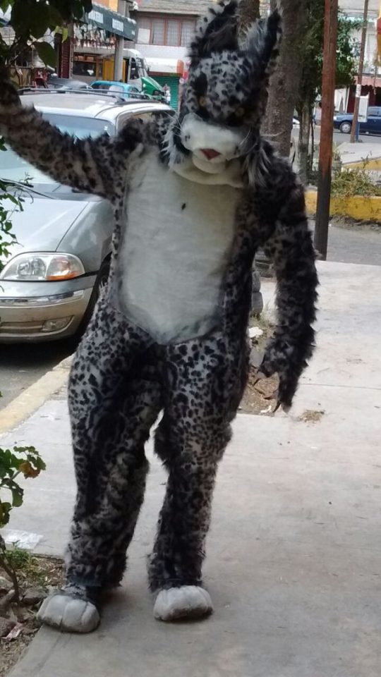 FURSUIT