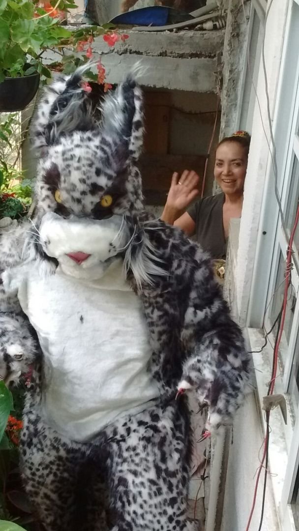 FURSUIT Y MAM