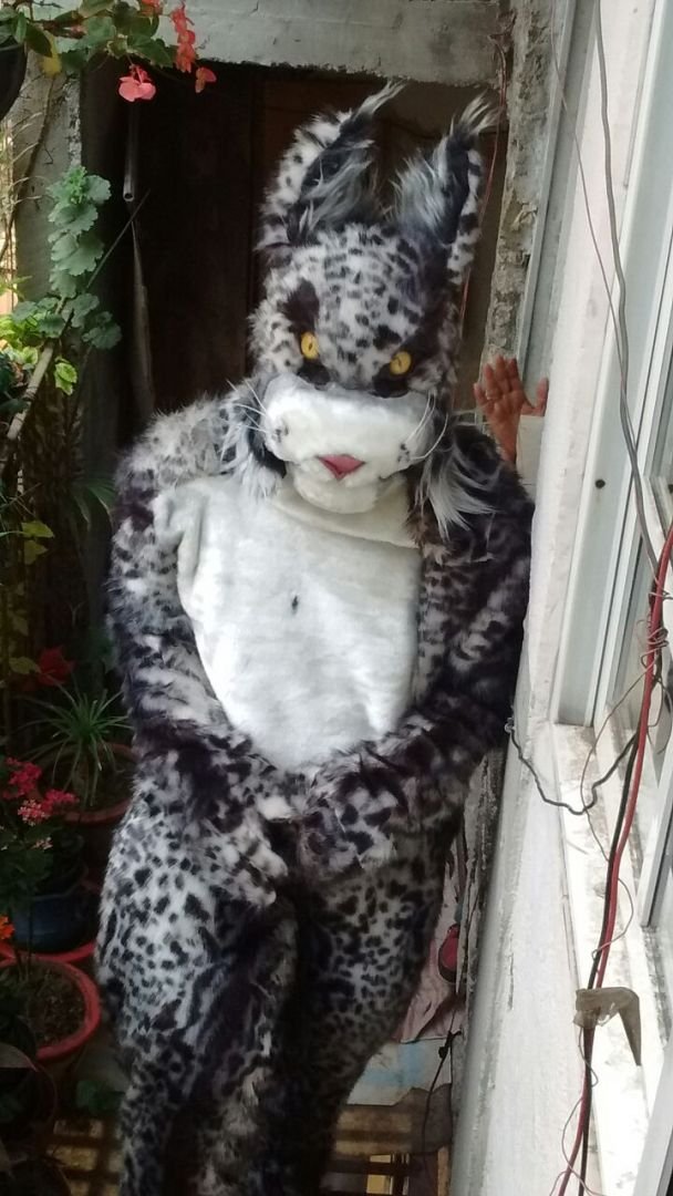 FURRY2