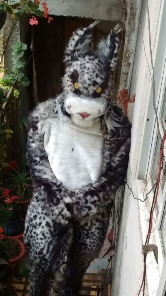 FURRY2