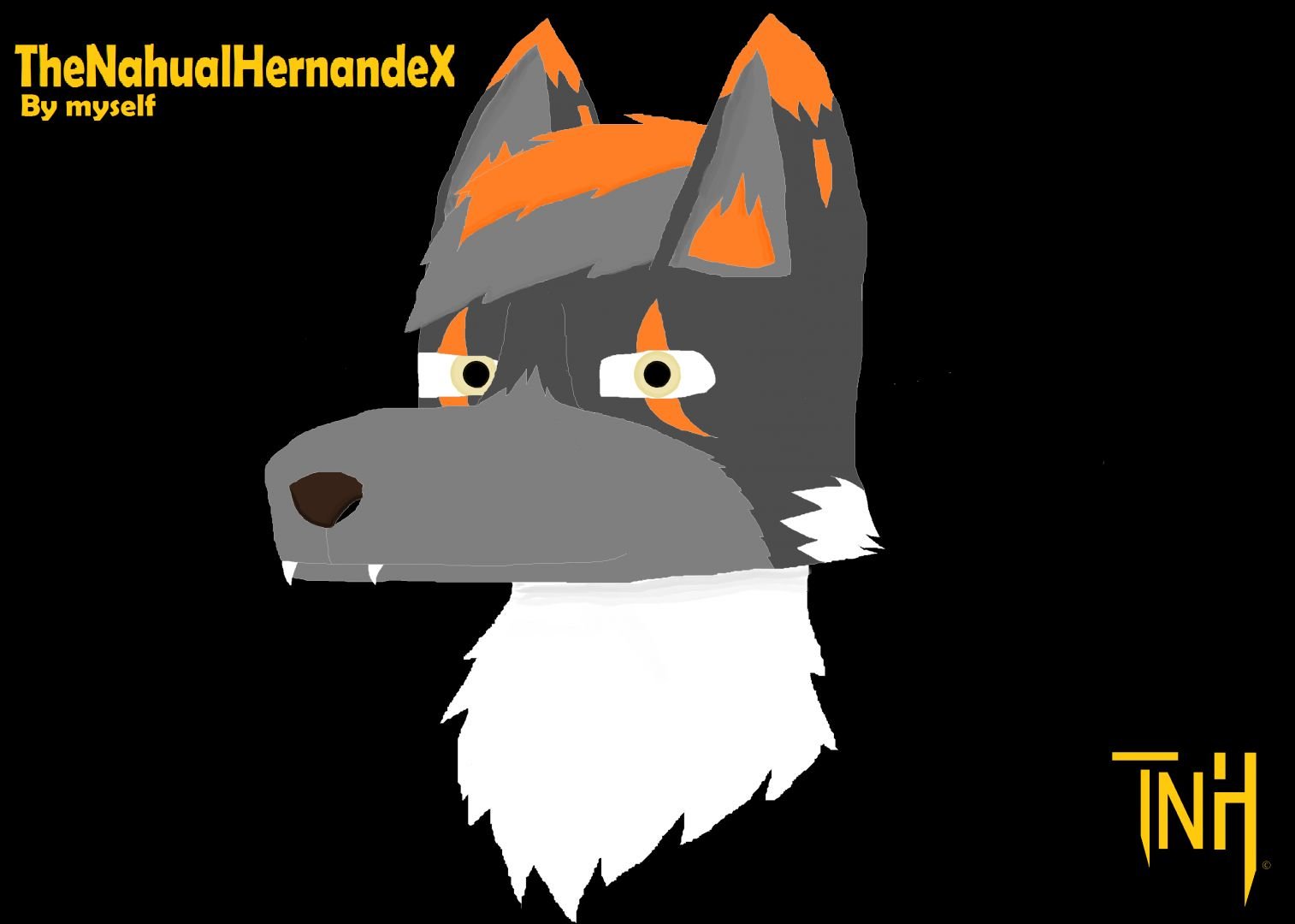 TheNahualHernandeX - Headshot This is a headshot of